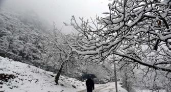 Srinagar Wrapped In Snow