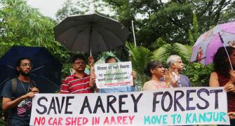 Aarey carshed threat to many species: Activists