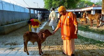 Yogi, the saffron-clad monk who will be UP CM again