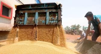 Food grains shouldn't go Covid vax way: India at UN