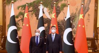 'Deeply concerned' about Chinese safety: Xi to Sharif