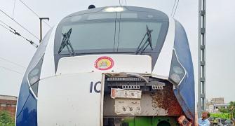Can Vande Bharat trains survive cattle hits, snags?