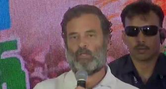 Don't want to politicise Morbi bridge collapse: Rahul