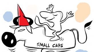 Mutual fund investors show bias towards small-caps