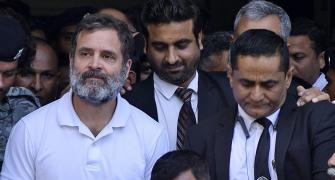 Sentenced to attract disqualification: Rahul in appeal