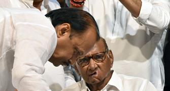 Won't use name, picture of Sharad Pawar: Ajit to SC