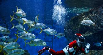 What's Santa Doing Under Water?