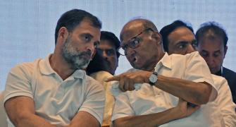 LS polls: Rahul, Pawar discuss seat-sharing in Maha