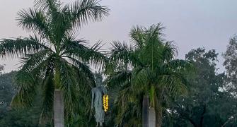 After Rashtrapati Bhavan DU renames its Mughal garden
