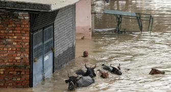 Rain multiplies Delhi's woes, roads still inundated