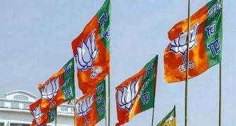 Junior partner BJP punches above its weight in N-E
