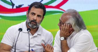 'Unfortunately am an MP': BJP mocks Rahul over gaffe