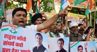 Rahul's disqualification against Constitution: Pawar