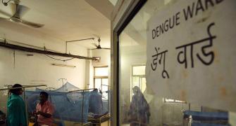 Bihar logs 6K dengue cases in Sept; highest in 5 yrs