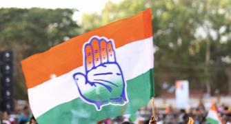 'Few OBCs fielded': Cong media cell vice chief quits