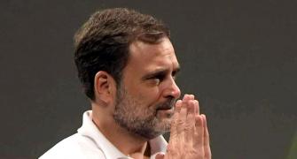 Rahul to cut short US trip in view of JK, H'yana polls