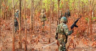 Seven Maoists killed in encounter in Telangana 