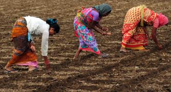 Notices to farmers on individual plea: Maha waqf chief