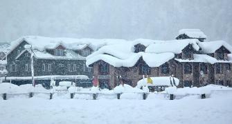 Snow Paints Kashmir White