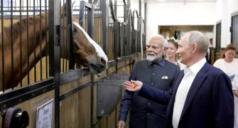 Tell Putin...: US asks India to 'utilise' Russian ties