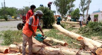 SC blames Delhi govt for nod to cut 422 trees