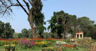 Restoring India's Botanic Heritage