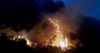 Sorry state: SC slams Uttarakhand for forest fires