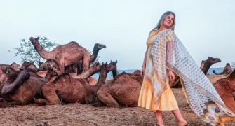 How About A Selfie With Camels?