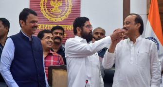 Results show to whom Sena, NCP belong: Mahayuti