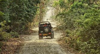 Wildlife cameras in Corbett misused to surveil women