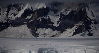 Antarctica turning green 'dramatically', says study  