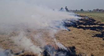 Stubble burning: SC raps Punjab, Haryana govts