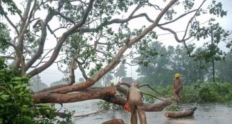 Cyclone Dana: Crops on 1.75L acre damaged in Odisha