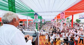 Haryana polls: Cong list shows 'son rise' in state