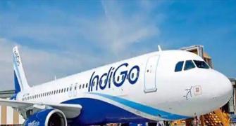 Flyers wait inside IndiGo Doha flight for hours