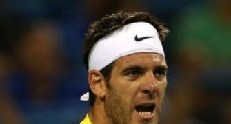 Del Potro to face Isner in Washington final