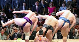 Trump watches sumo wrestling in Japan
