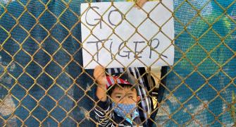 PIX: Fans peer through fences to cheer for Tiger