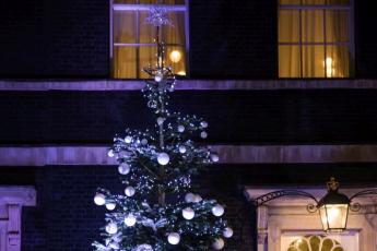 Is This $15 Million Christmas Tree The Most Expensive In The World?