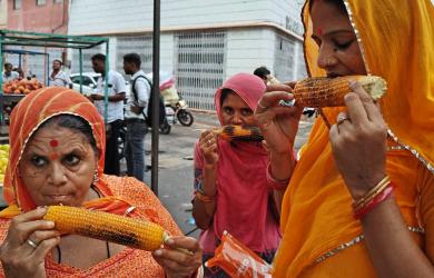 Corn Tests India-US Trade Ties