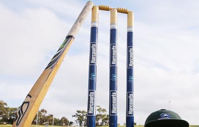 Umpire Dies After Bee Swarm Attack At Unnao Match