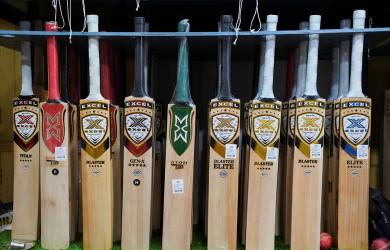 Rising cost of English willow prompts MCC to change law