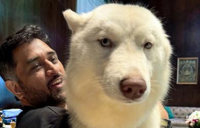 IPL: BCCI ethics officer dismisses conflict of interest allegations against MS Dhoni