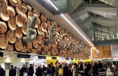 Rs 48 Crore Hydroponic Weed Seized At Delhi Airport