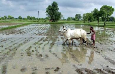 Slight Relief From Heatwave In Punjab, Haryana