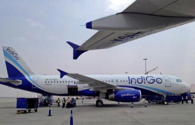 IndiGo to face pressure from fuel price spike: Moody's