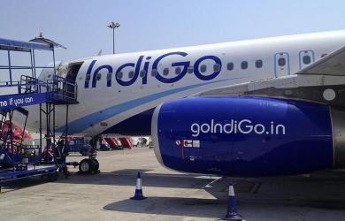 IndiGo Q1 profit skids 20%; sees 12% passenger growth