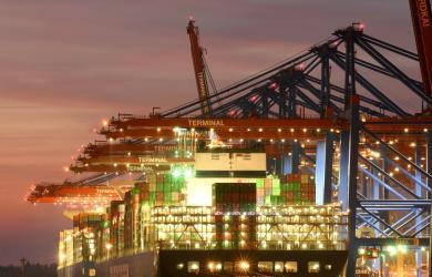 DRI seizes Pak goods worth Rs 12 cr at Mumbai port; 2 held