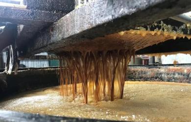 Used cooking oil to produce sustainable aviation fuel: IndianOil
