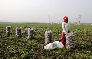 India's GDP grows 7.8% in Q1; highest in five quarters